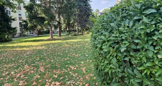 von_poll_real_estate_property_25001144_image_10