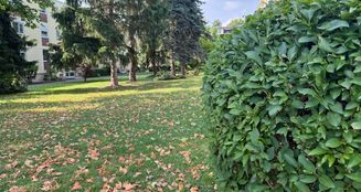von_poll_real_estate_property_25001144_image_10