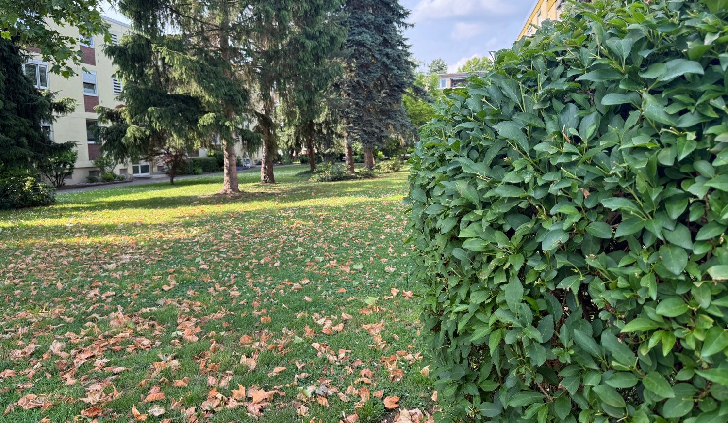 Grünanlage