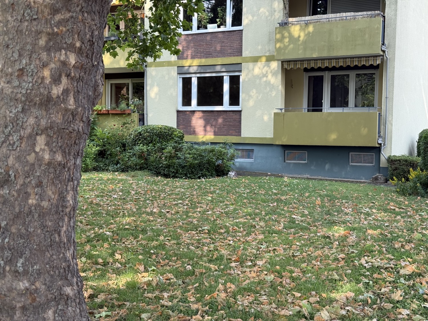 Gartenansicht