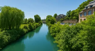 von_poll_real_estate_property_25001250_image_14