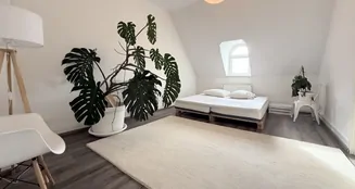 von_poll_real_estate_property_25001250_image_3