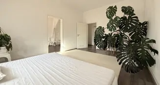 von_poll_real_estate_property_25001250_image_4