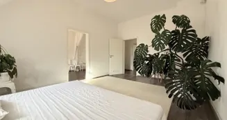 von_poll_real_estate_property_25001250_image_4