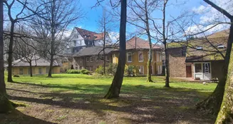 von_poll_real_estate_property_2441001A1_image_12