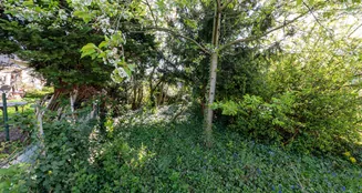 von_poll_real_estate_property_2541009A1_image_18