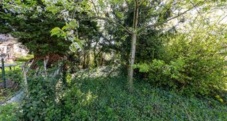 von_poll_real_estate_property_2541009A1_image_18