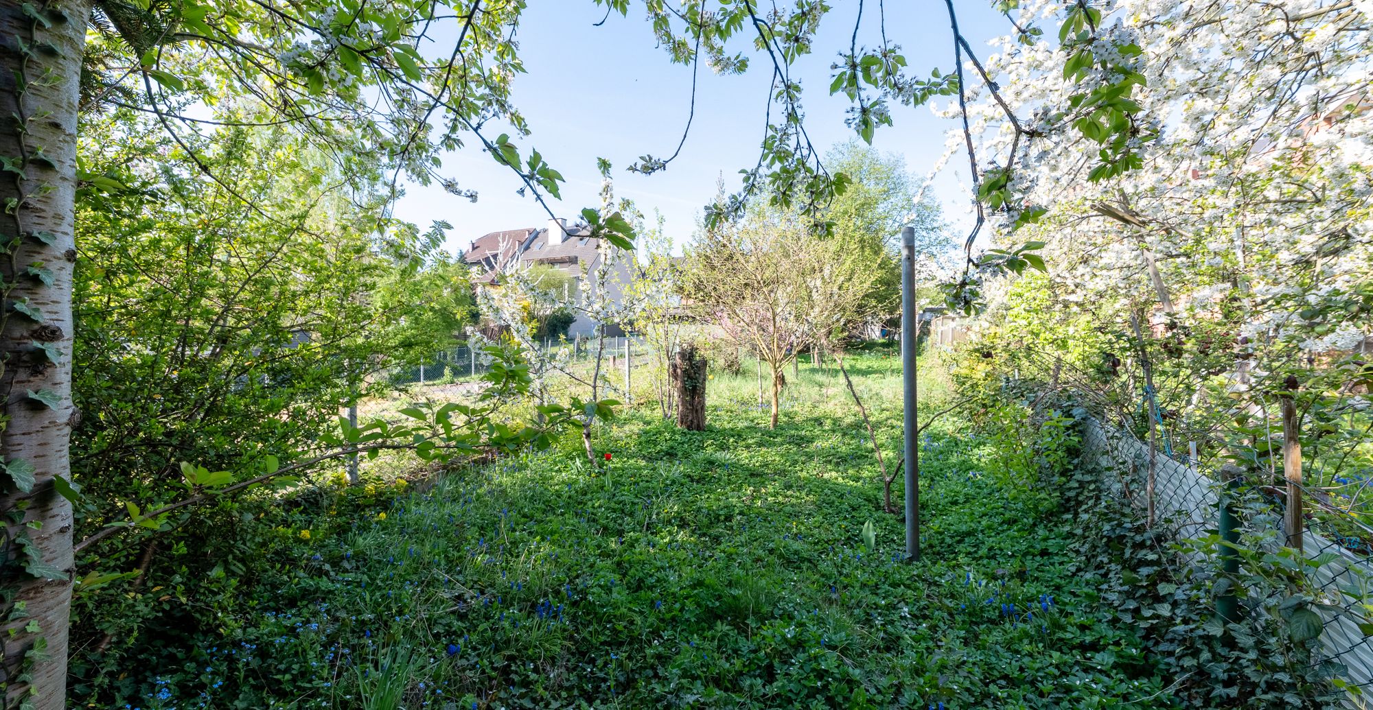 DSC_5434-HDR