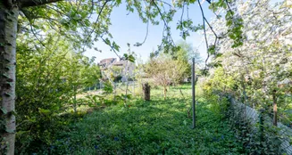 von_poll_real_estate_property_2541009A1_image_19