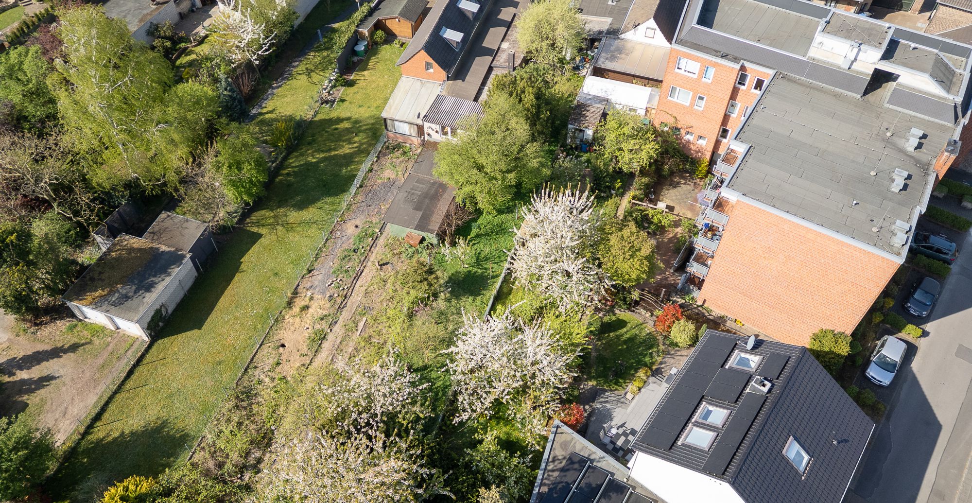 DJI_0584