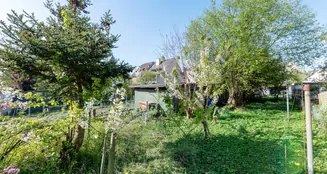 von_poll_real_estate_property_2541009G1_image_21