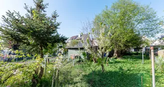 von_poll_real_estate_property_2541009G1_image_21