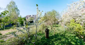 von_poll_real_estate_property_2541009G1_image_20