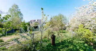 von_poll_real_estate_property_2541009G1_image_20