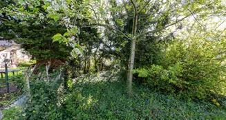 von_poll_real_estate_property_2541009G1_image_18