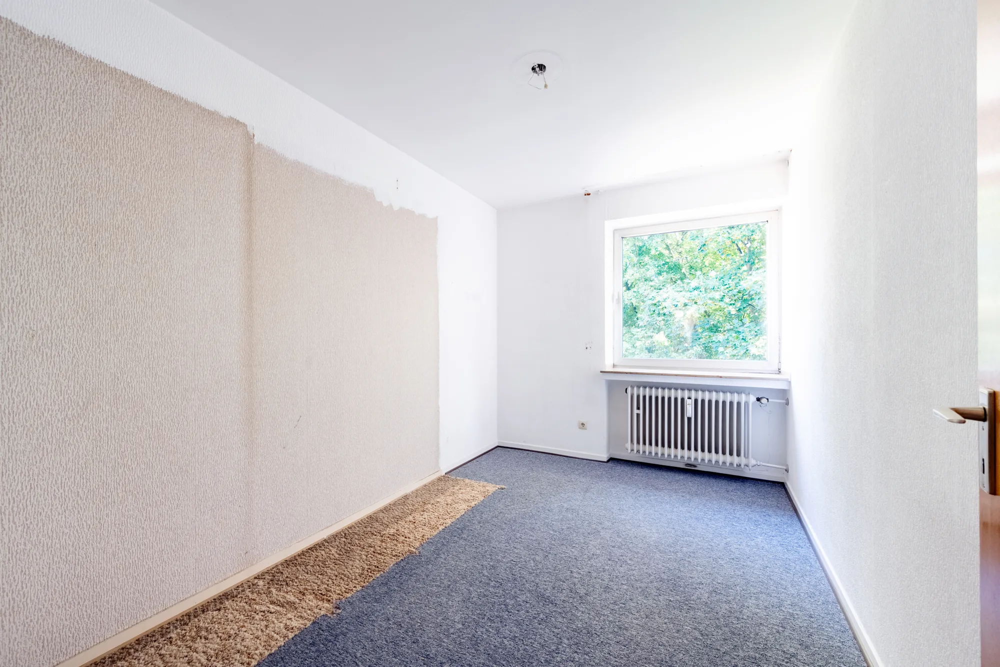 PP7_8442-HDR