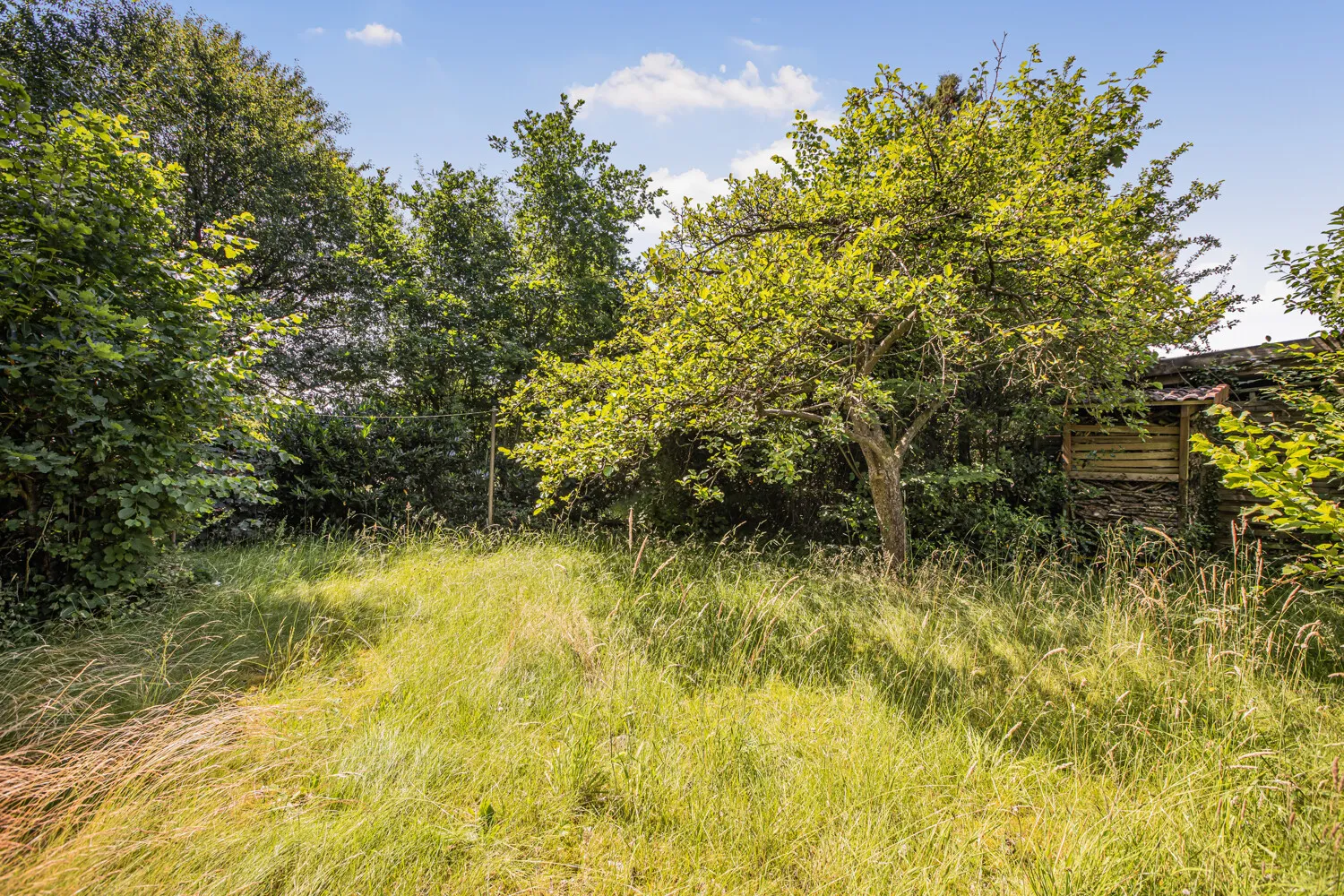 Gartenblick