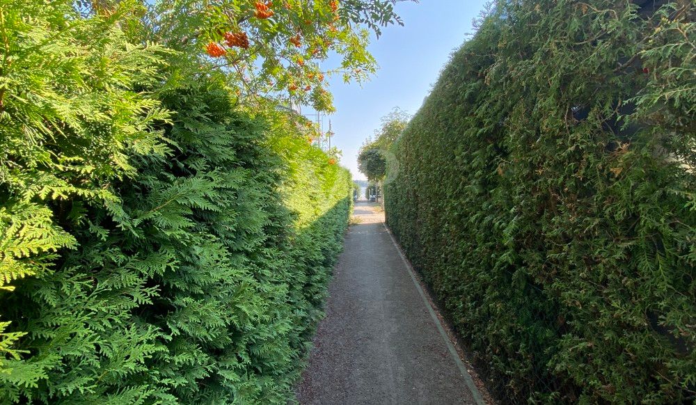 Fussweg zum See