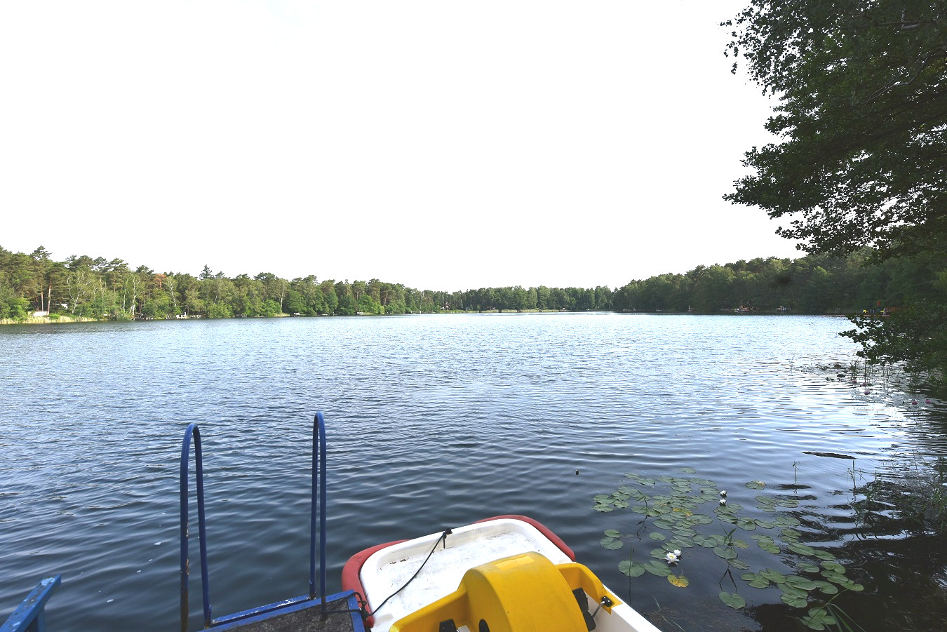 Ziestsee