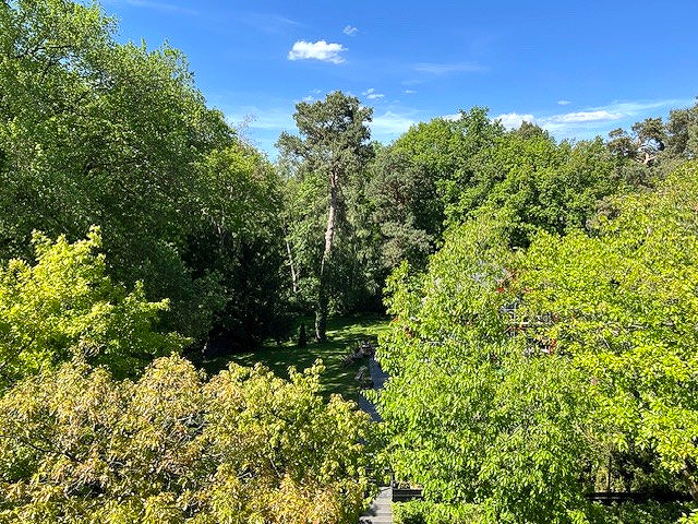 Blick von der Terrasse