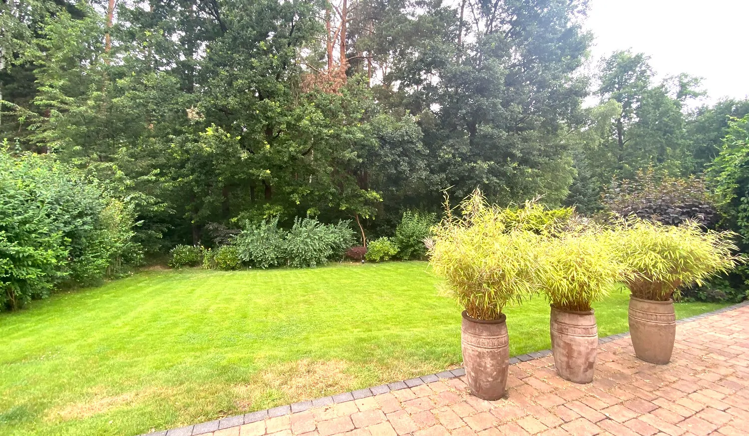 Rückwertiger Garten mit Altbaumbestand