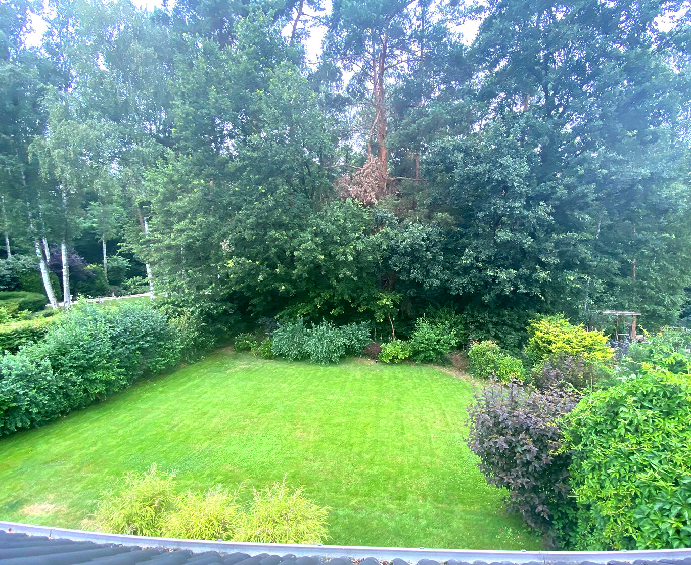 Blick von der Terrasse