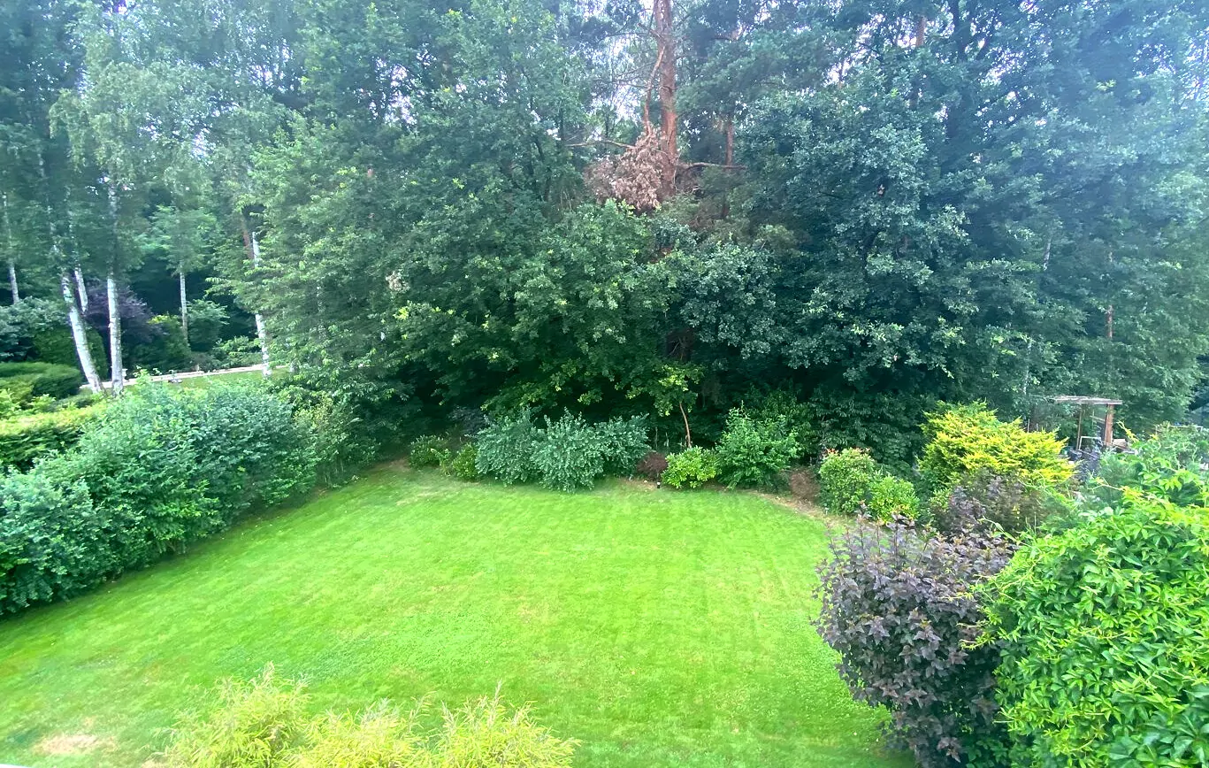 Blick von der Terrasse