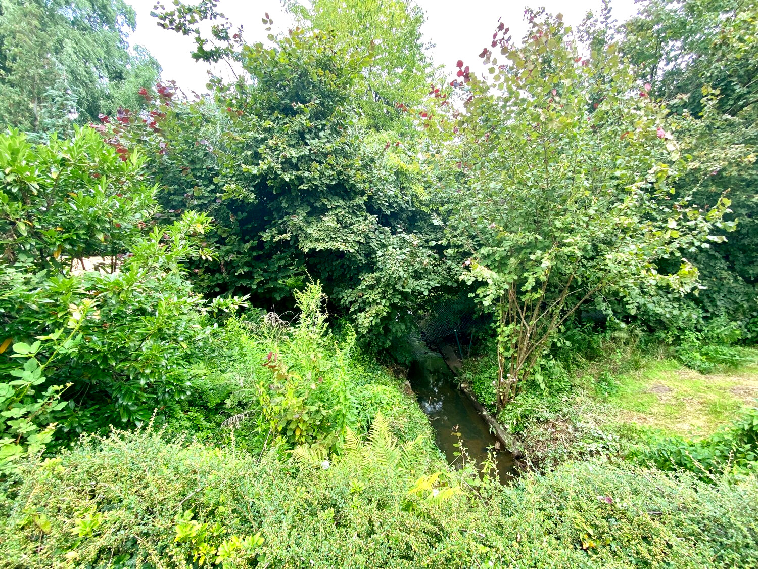 Grundstück mit Fluss 