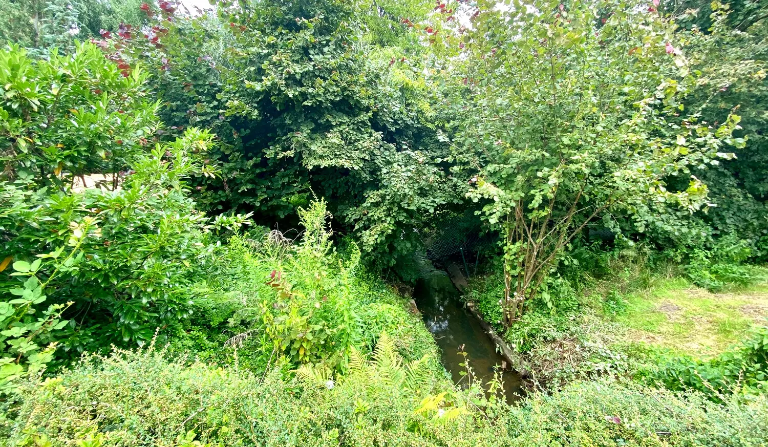 Grundstück mit Fluss "Klinge"