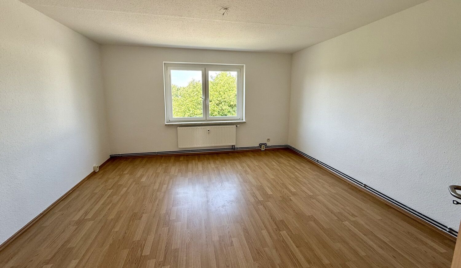 Zimmer