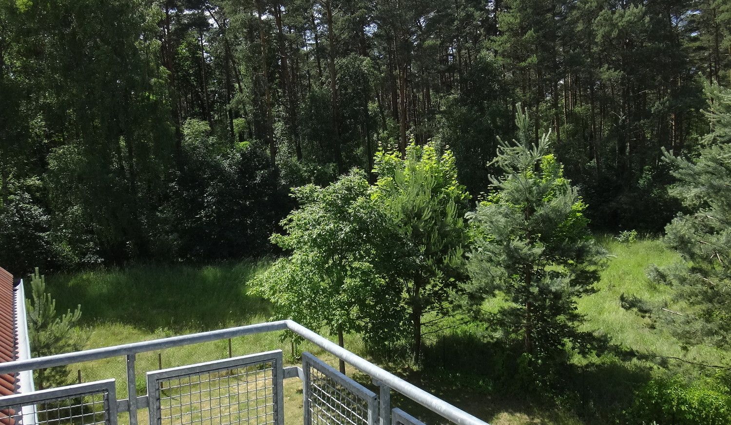 Blick vom Balkon