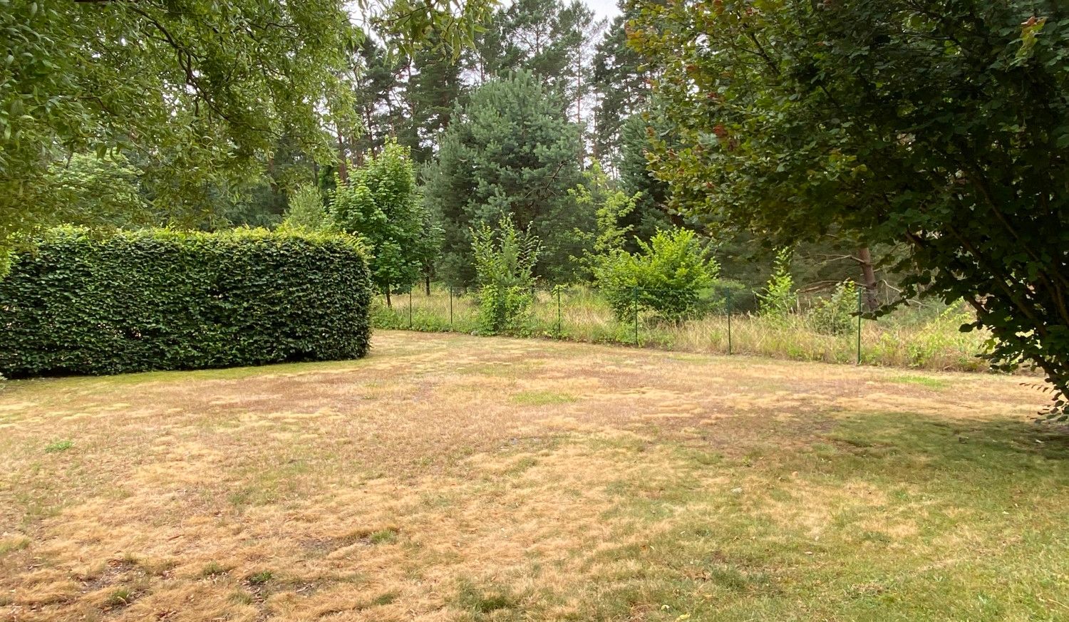 Außenanlage