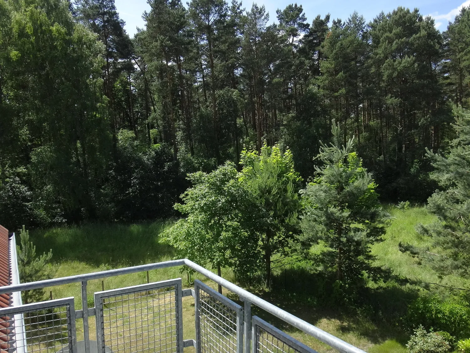 Ausblick gartenseitig