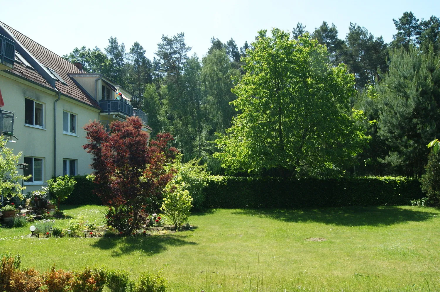 Garten im Sommer