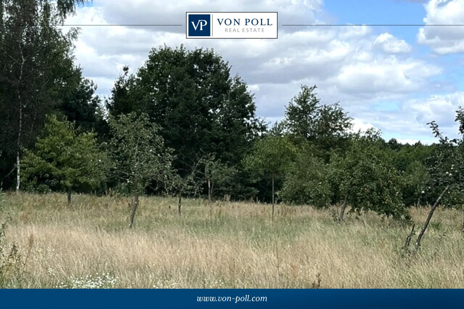Blick von der Zufahrt aufs Grundstück