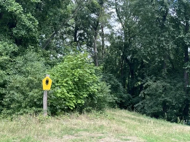 Naturschutzbereich am Wasser