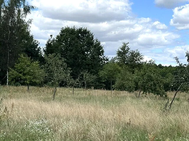 Blick von der Zufahrt zum Grundstück