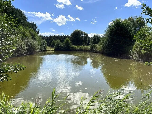 Teich