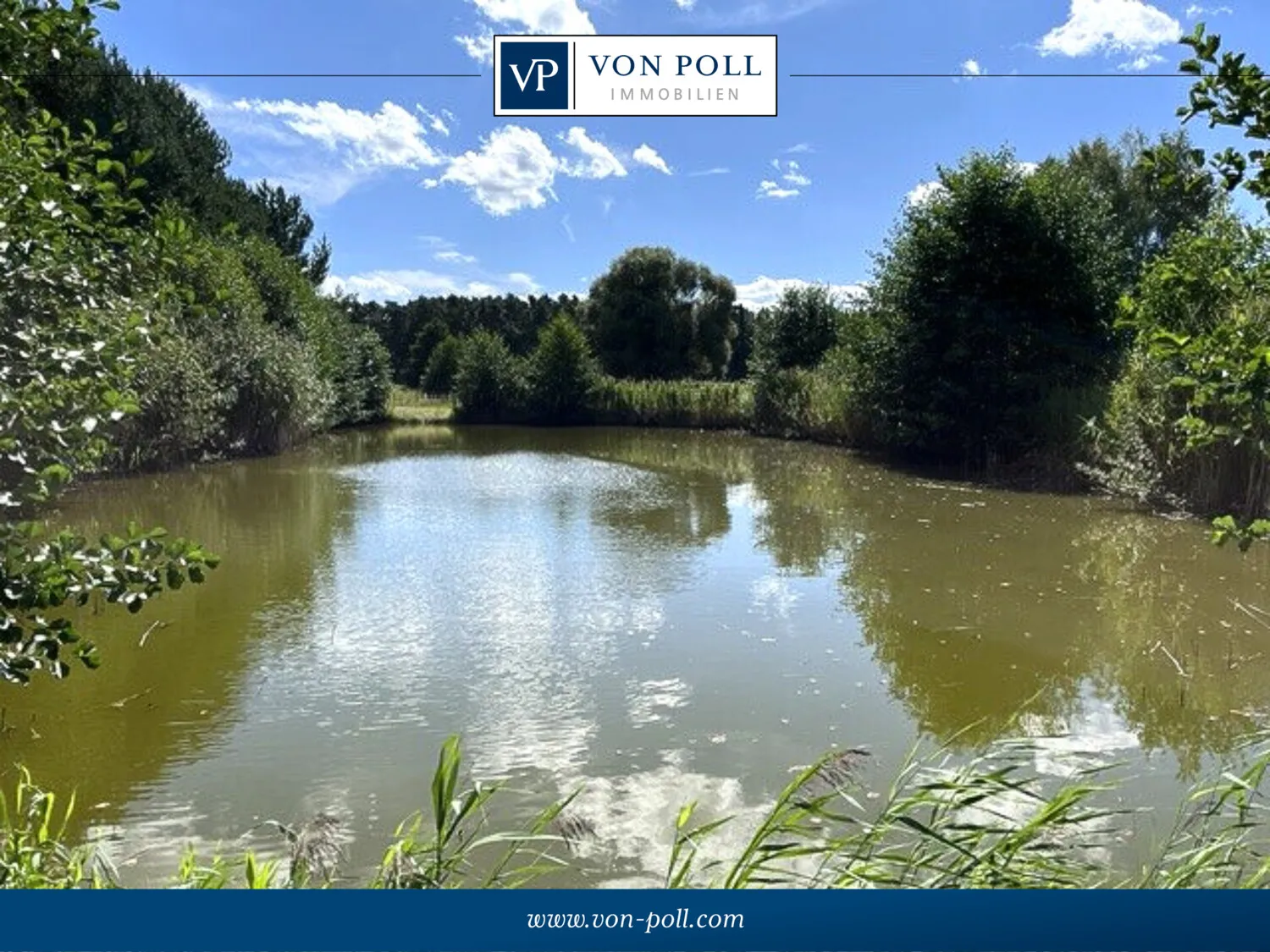 Teich
