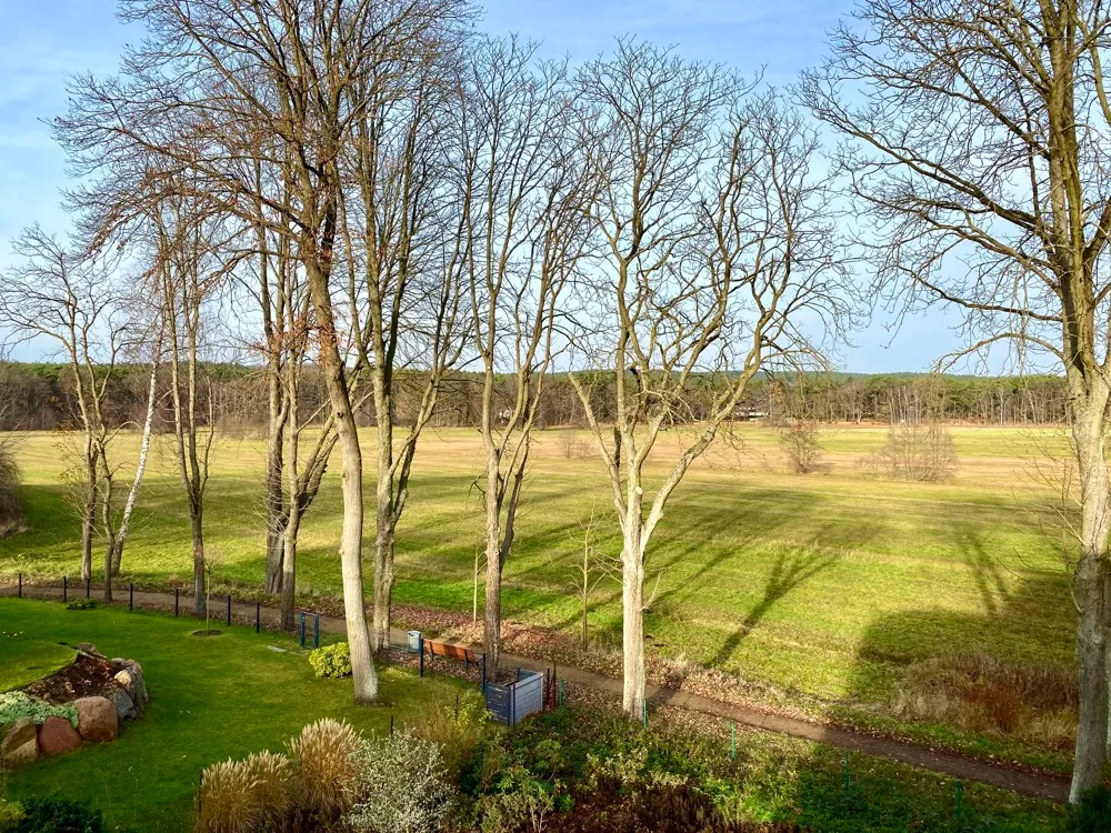 Blick ins Weite