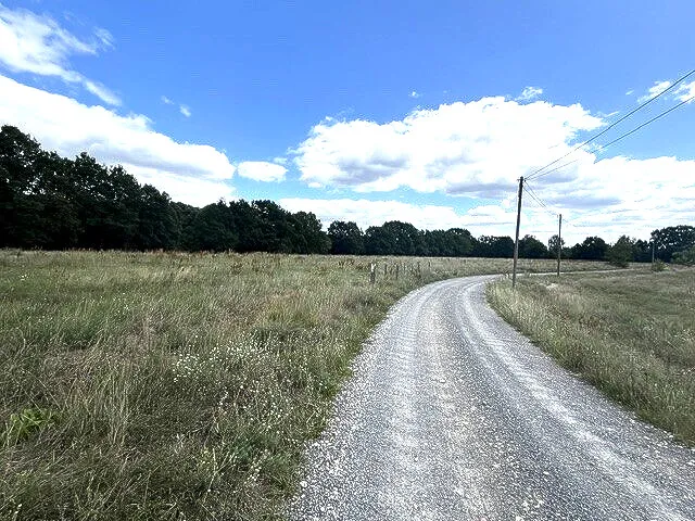 Zufahrtsweg mit Stromleitung