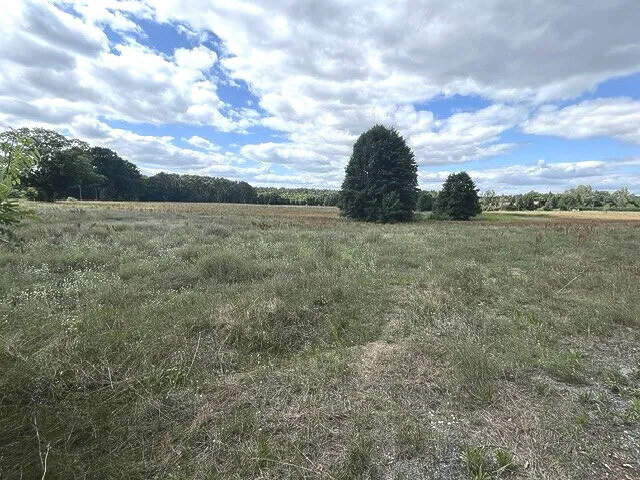 Blick vom Zufahrstweg