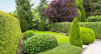 von_poll_real_estate_property_25423019_image_8