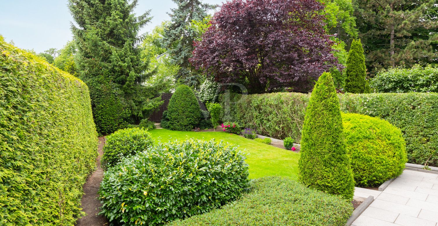 Gartenansicht 2