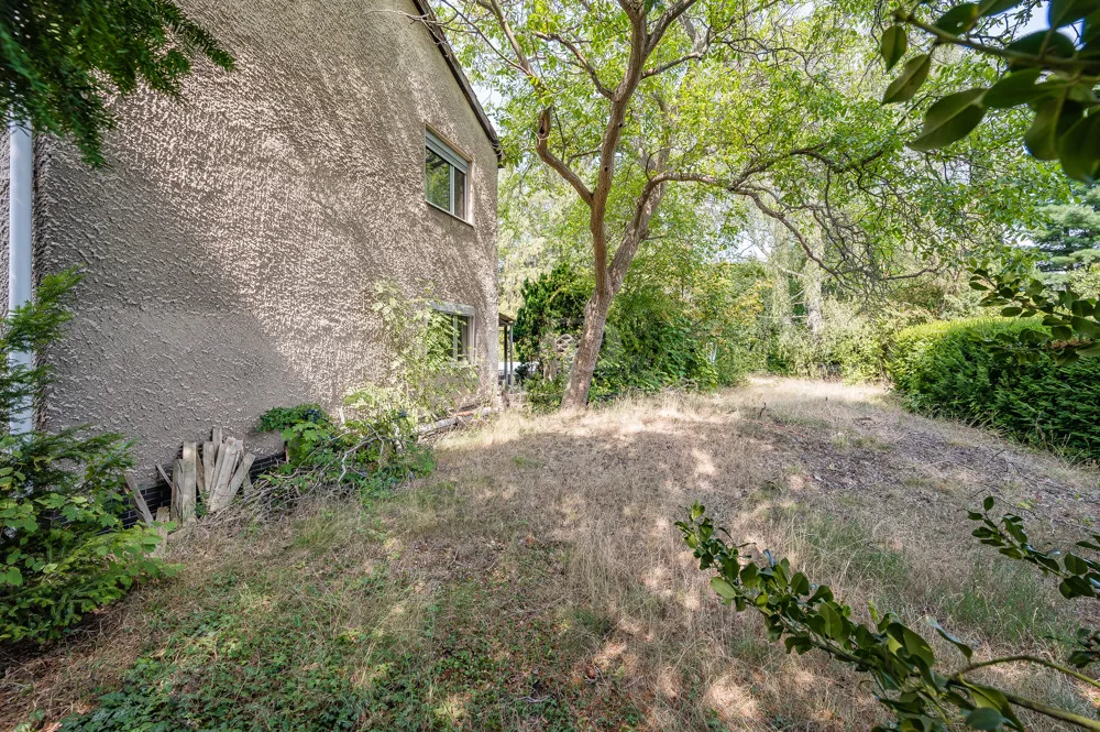 Garten hinterm Haus