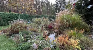 von_poll_real_estate_property_25412021_image_16