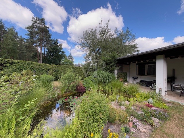 Terrasse mit Blick auf Teich