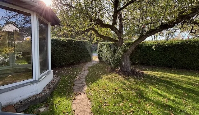 Apfelbaum im Vorgarten