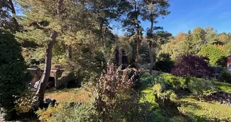 von_poll_real_estate_property_25412016_image_11