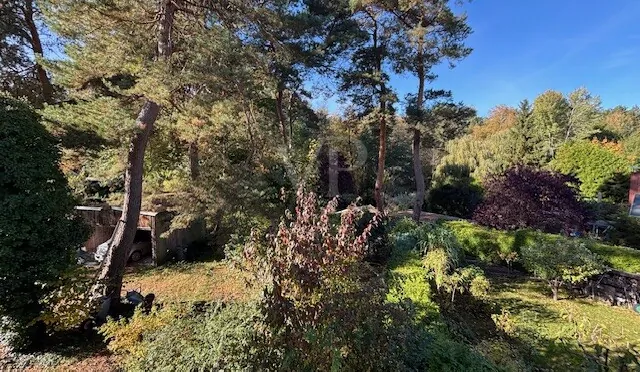 Aussicht vom Zimmer OG